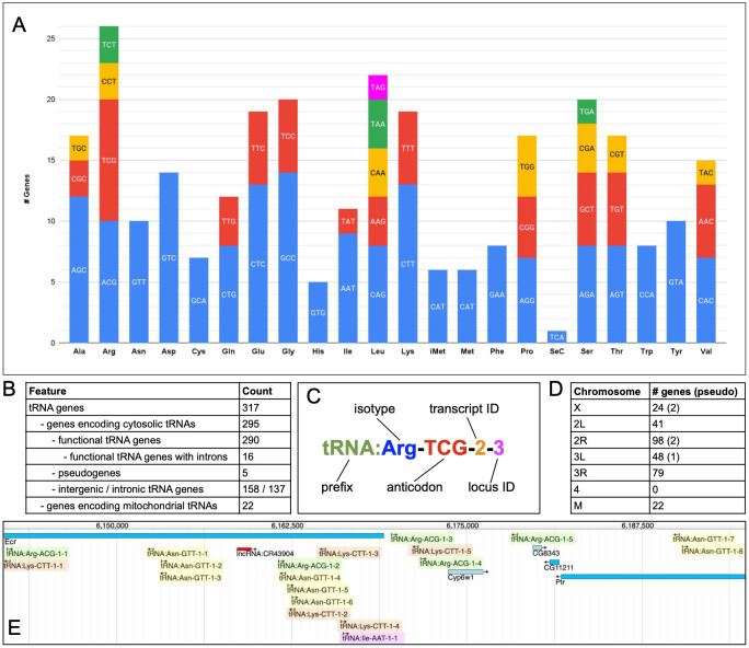 Figure 1. Drosophila tRNA genes