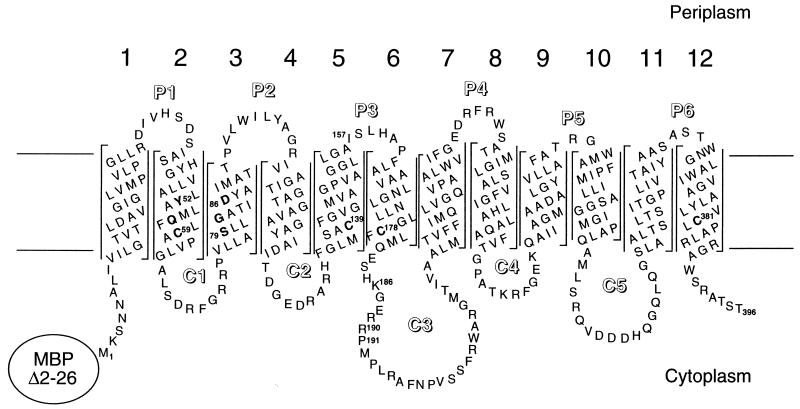 FIG. 1