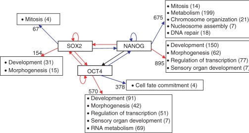 Figure 5.