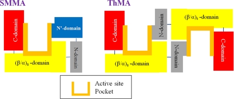 FIGURE 7.