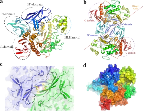 FIGURE 1.