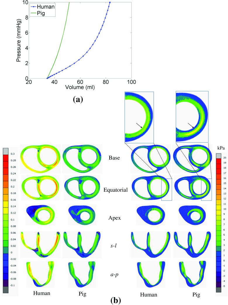 Fig. 11