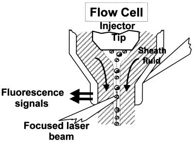 FIG. 1