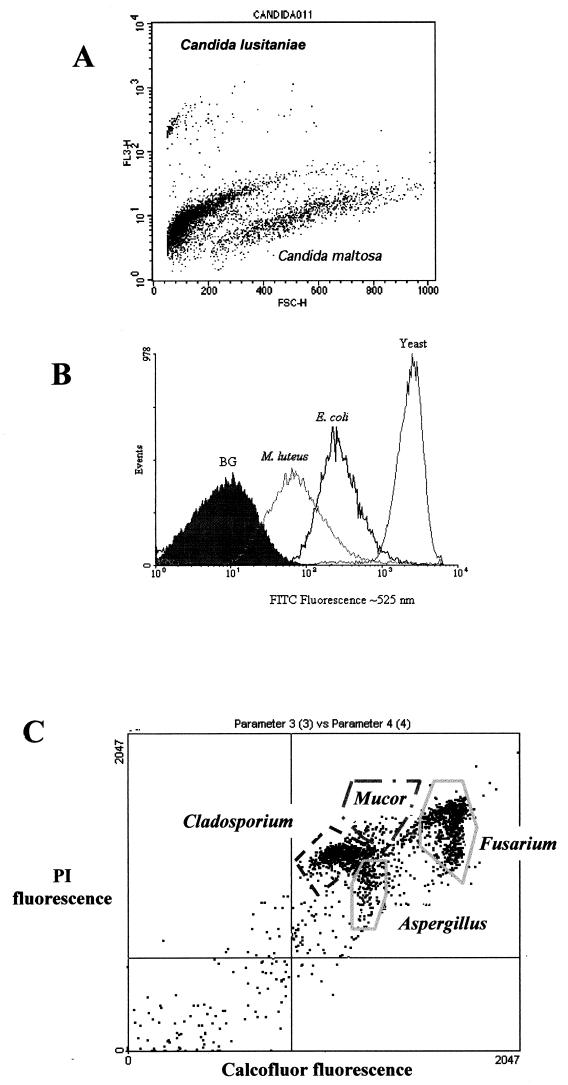 FIG. 4