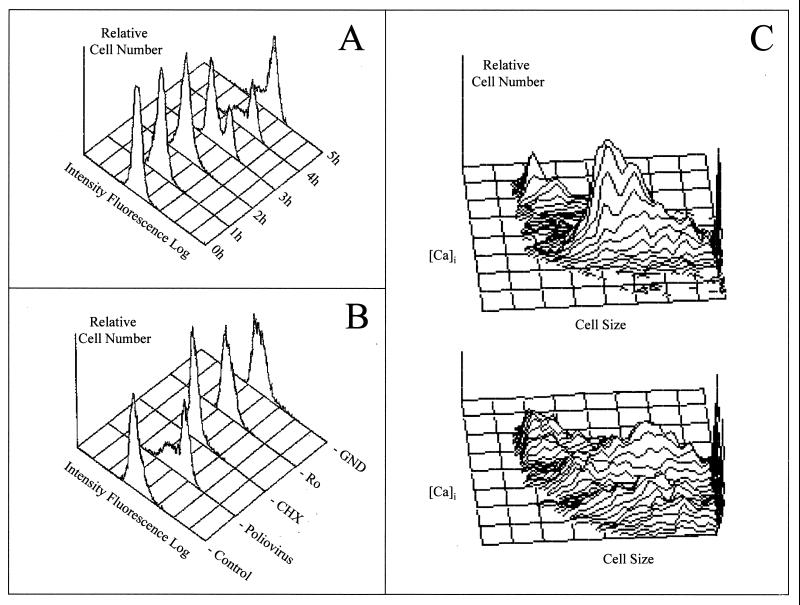 FIG. 6