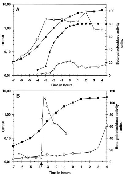 FIG. 5