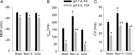 Figure 6