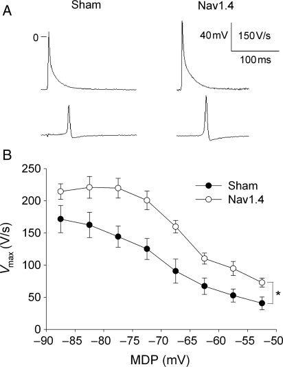 Figure 3