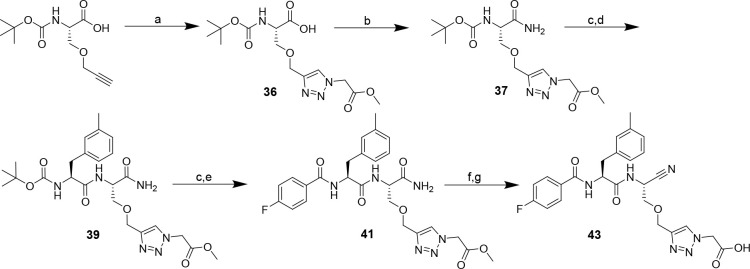 Scheme 5