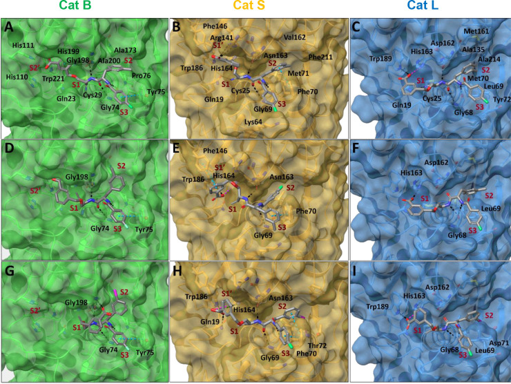 Figure 14