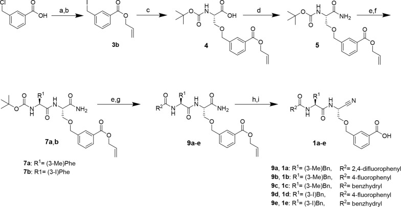 Scheme 1