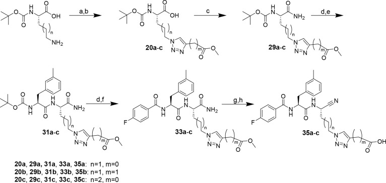 Scheme 4