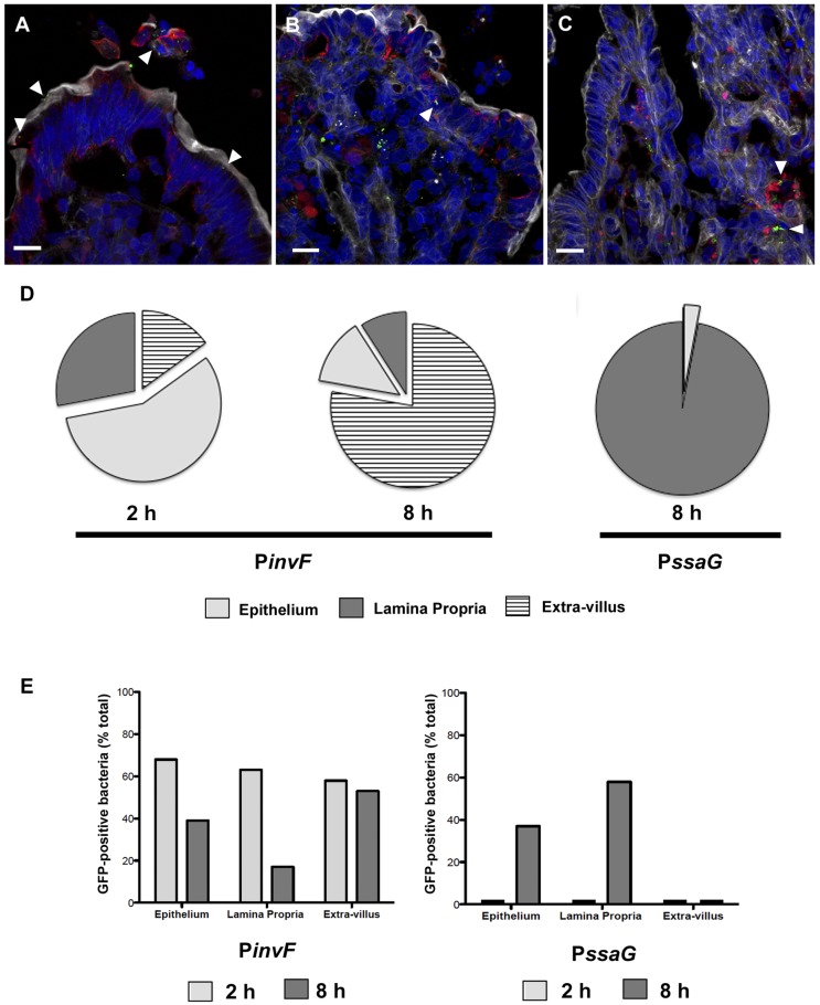 FIG 4 