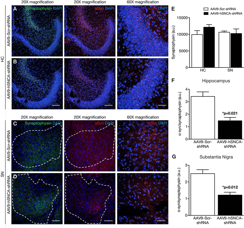 Fig. 2: