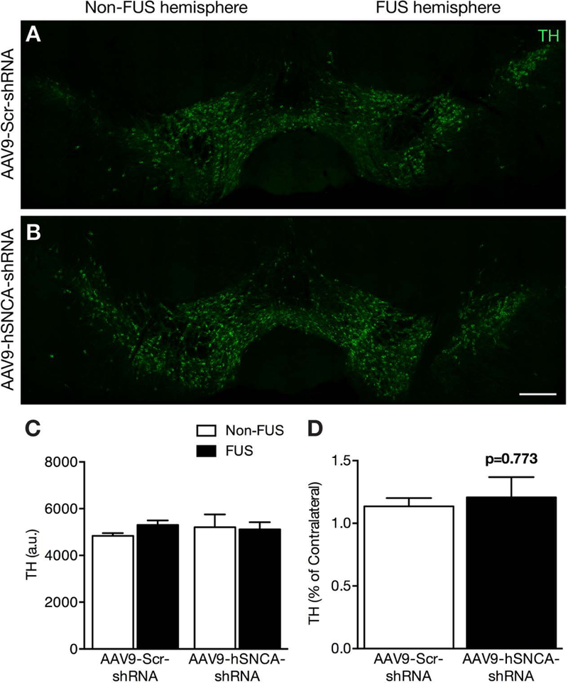 Fig. 4: