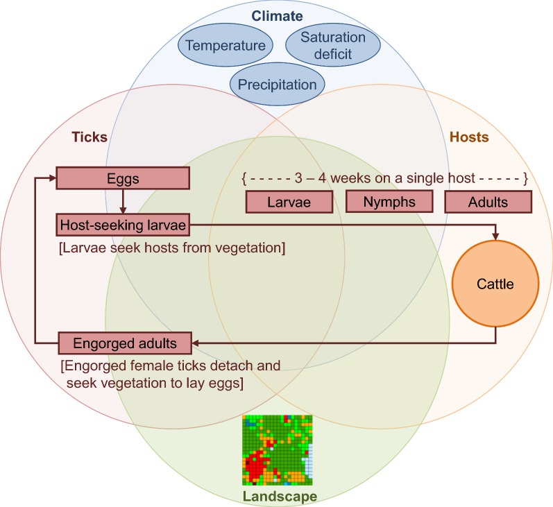 Fig. 1