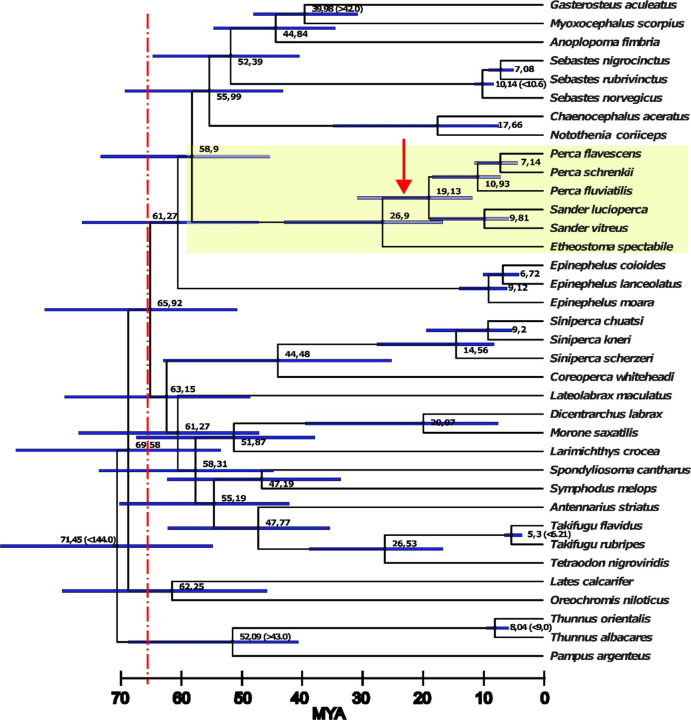 Figure 1: