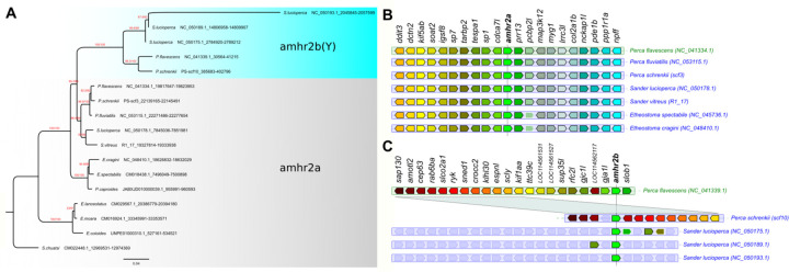 Figure 2: