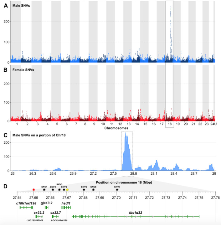 Figure 4: