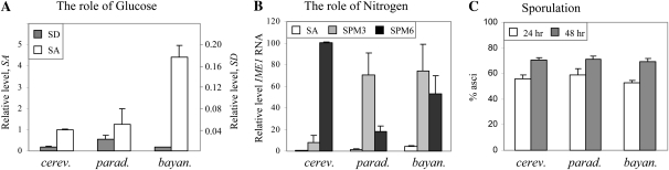 Figure 2.—