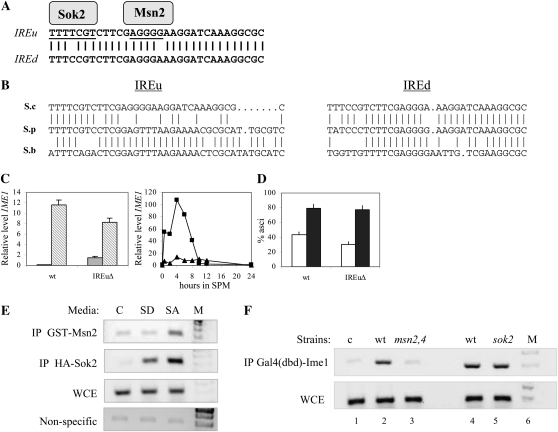 Figure 3.—