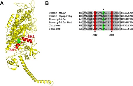 FIGURE 1: