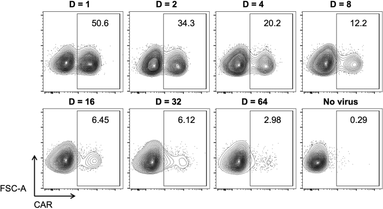 Figure 2