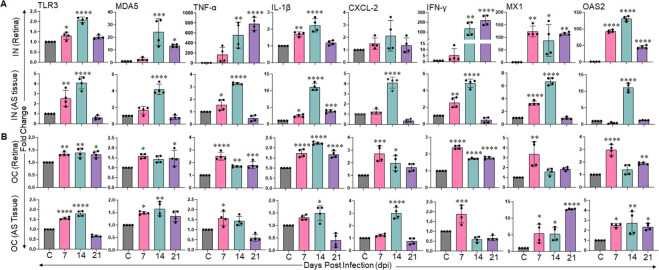 Fig 2