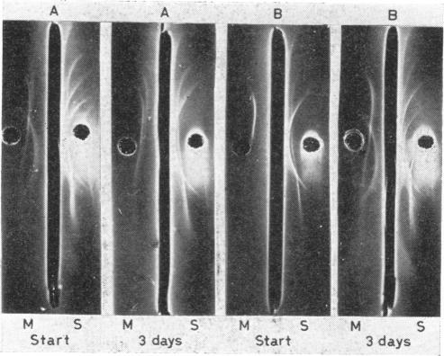 FIG. 6