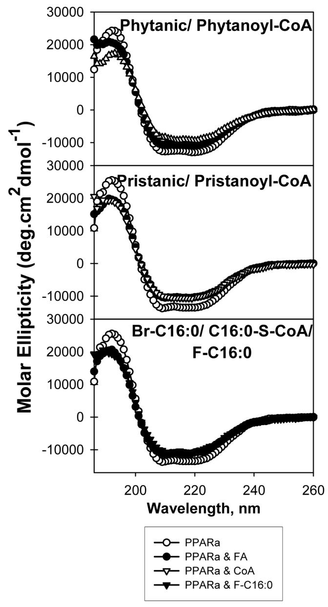 FIG. 7