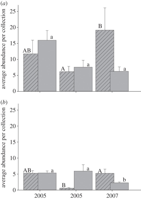 Figure 5.