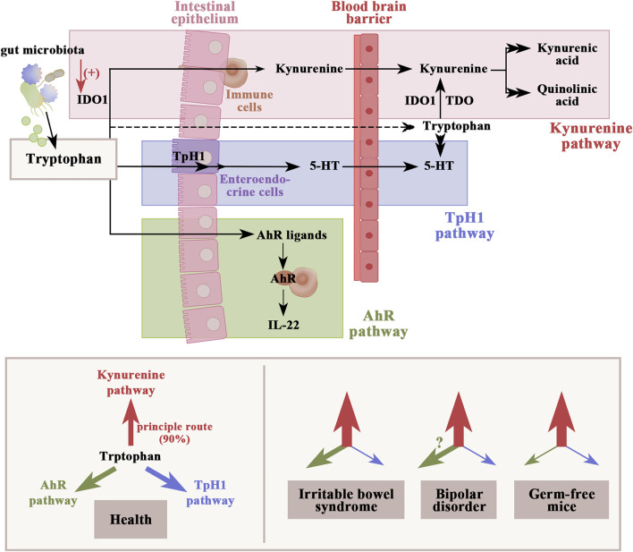 FIGURE 3