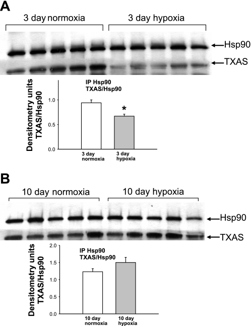 Fig. 9.