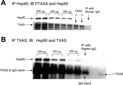 Fig. 8.