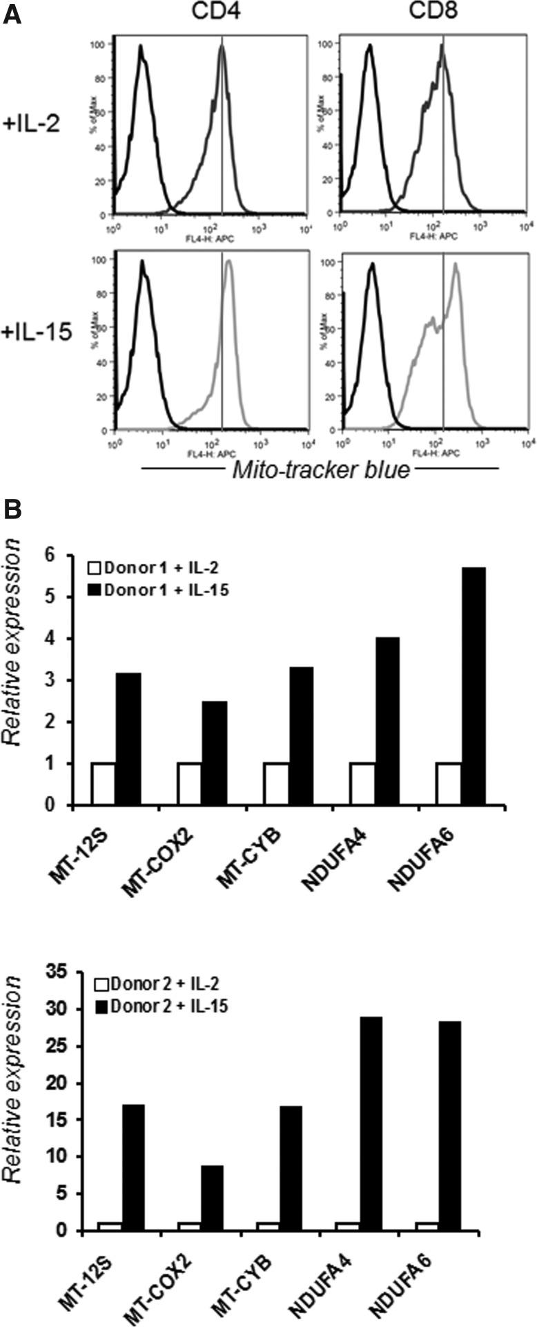 FIG. 9.