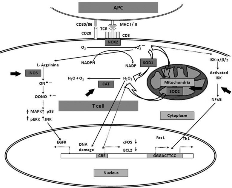 FIG. 12.