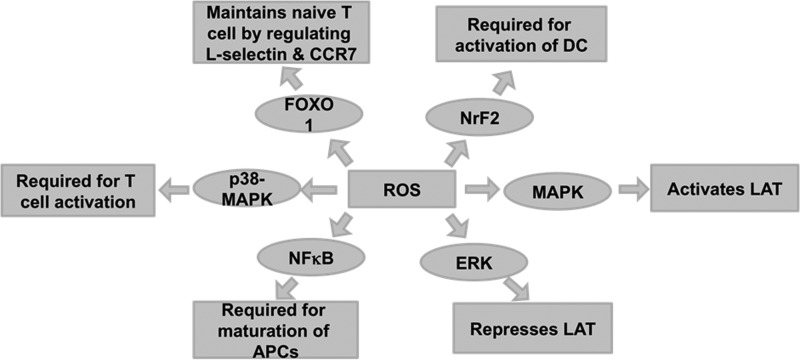 FIG. 10.