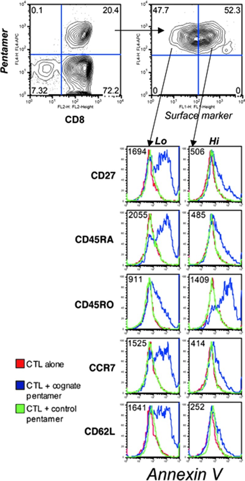 FIG. 6.