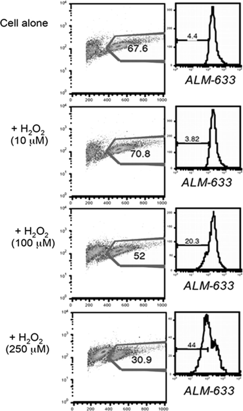 FIG. 11.