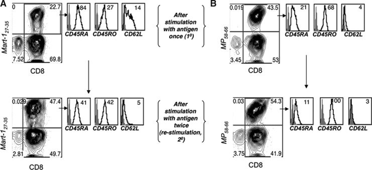 FIG. 5.