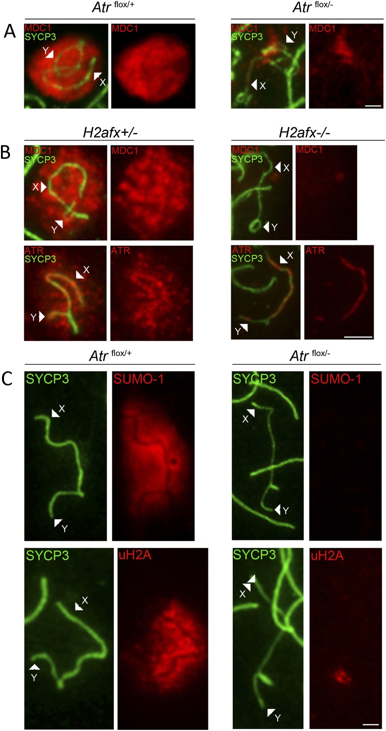 Figure 4.