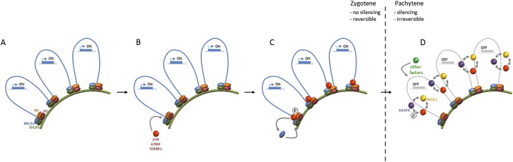 Figure 6.