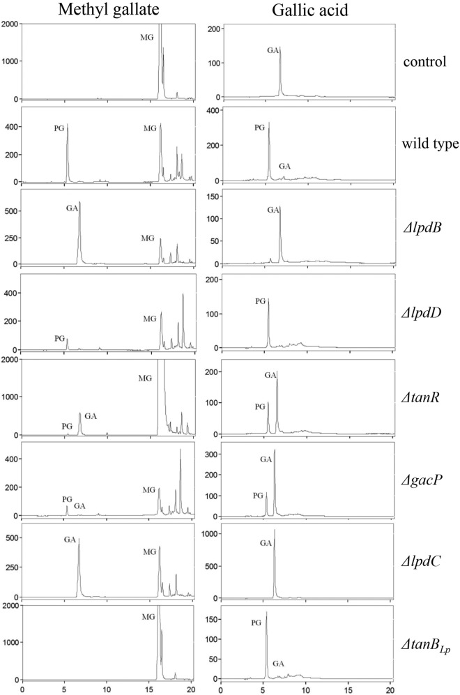 FIG 2