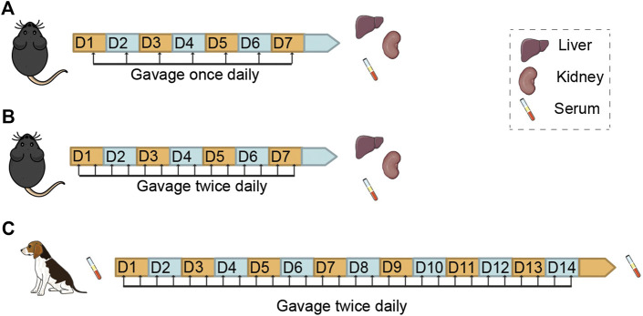 FIGURE 1