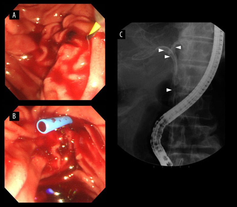 Figure 2.