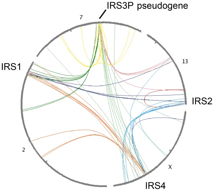 Figure 7