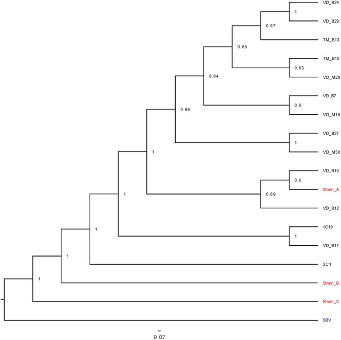 FIGURE 5