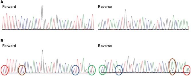 FIGURE 3