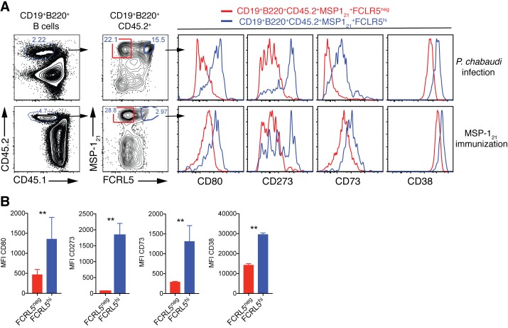 Figure 6—figure supplement 2.