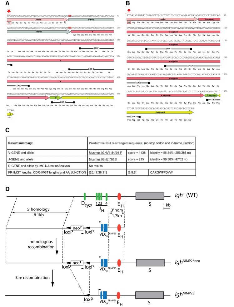 Figure 1—figure supplement 1.